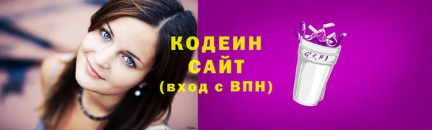 гашик Чегем