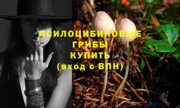 mdpv Гусь-Хрустальный